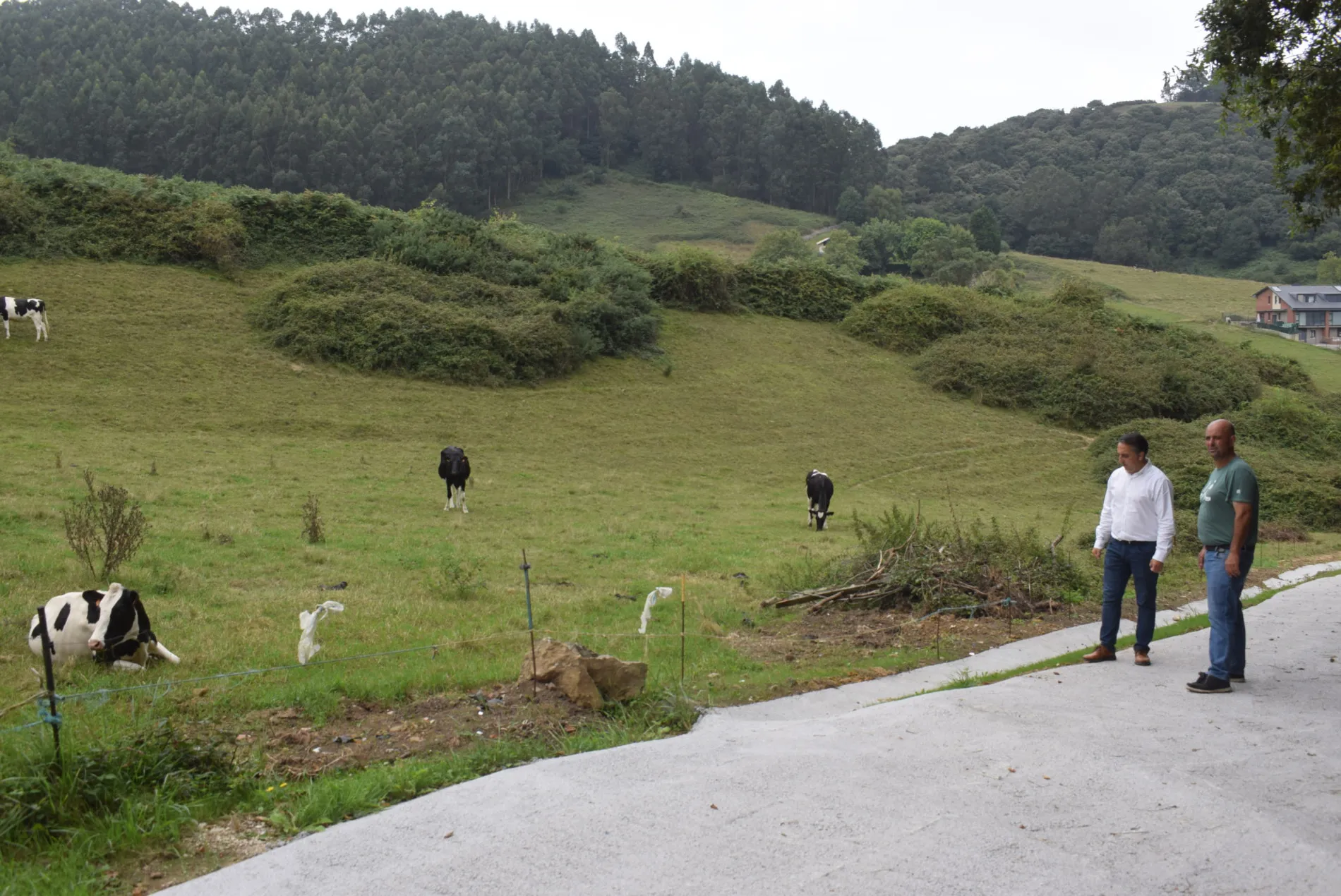  Piélagos recupera el camino vecinal que une los barrios La Pepia y La Valleja en Mortera e instala nueva señalética en el entorno de la Cueva de las Penas