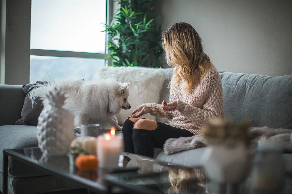  Descubre las Ventajas del House Sitting para Cuidar tu Hogar