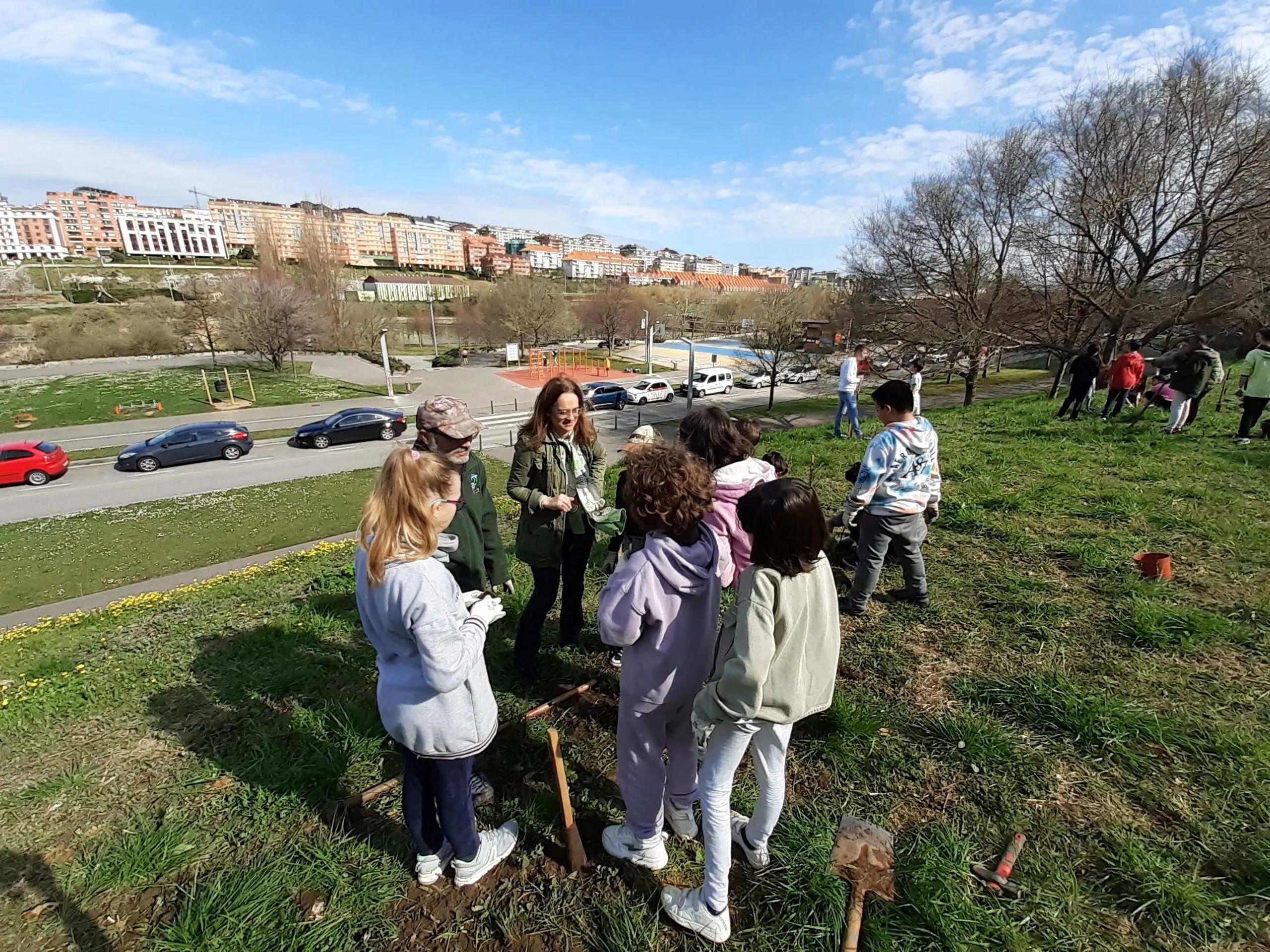  Adjudicado el proyecto para actualizar el inventario del arbolado urbano de Santander