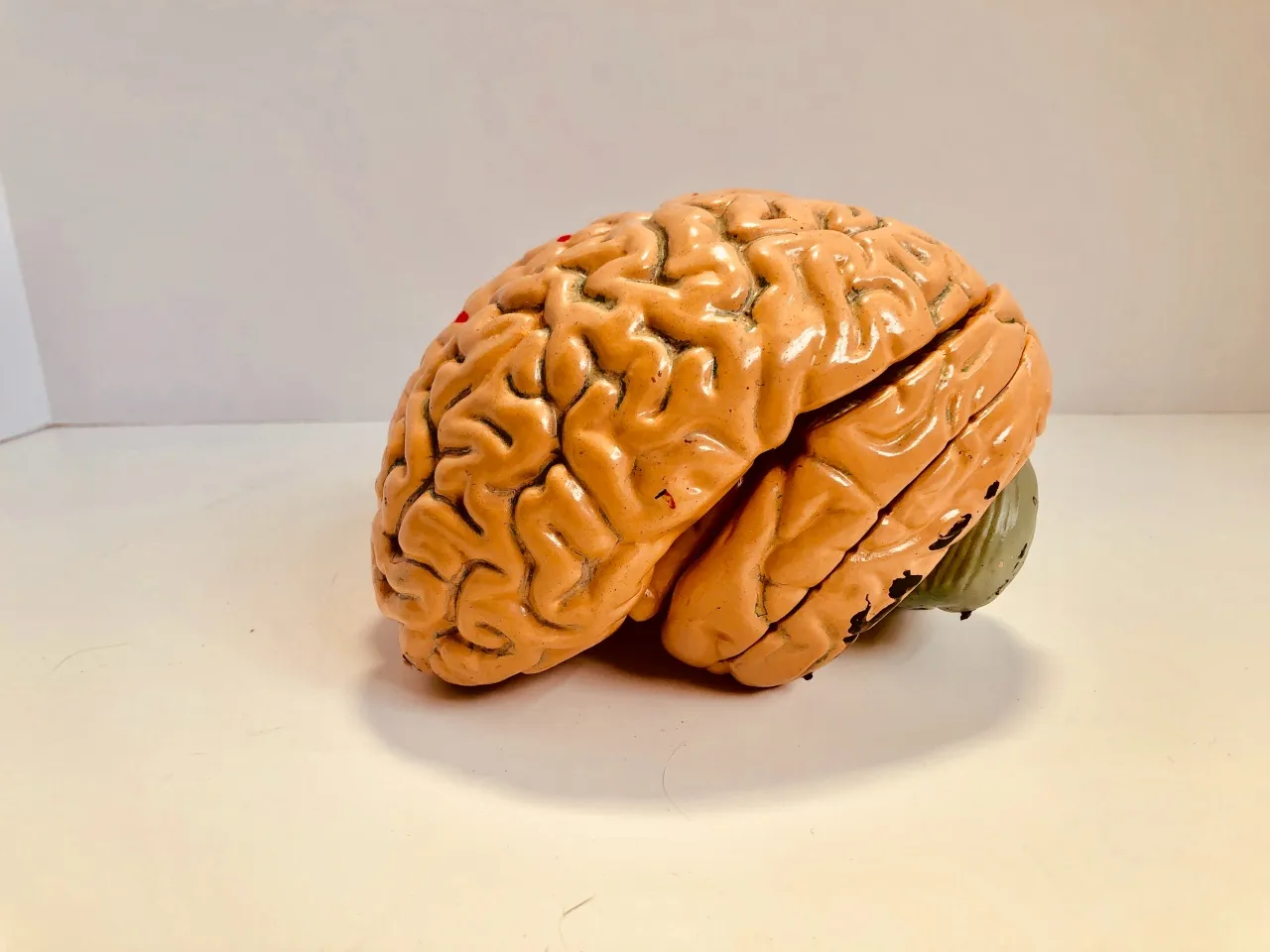  Aumenta la Longevidad de tu Mente: el Secreto para Revitalizar tu Cerebro.