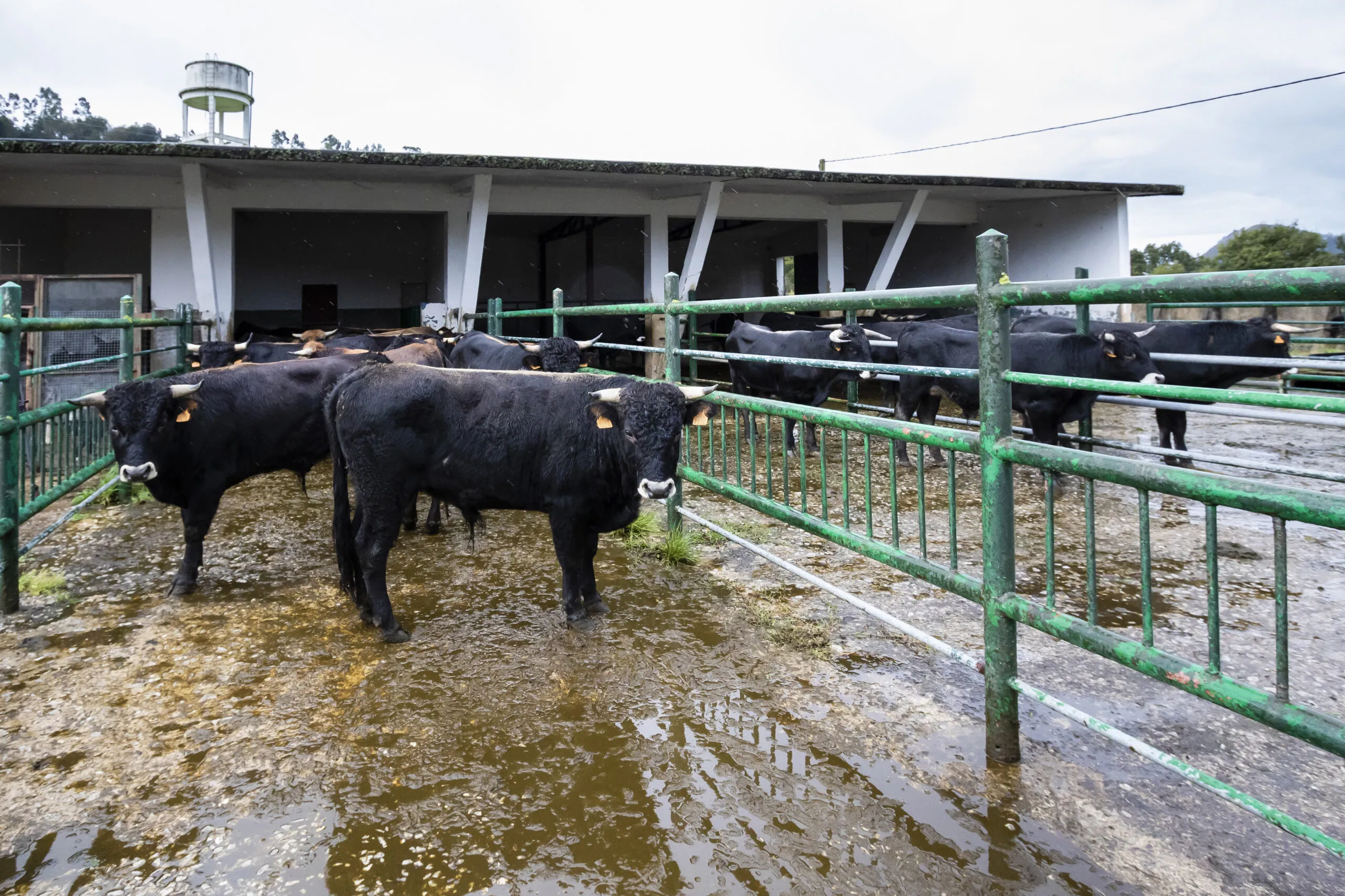  El Gobierno convoca ayudas a inversiones en energías renovables para edificaciones agrarias en zonas rurales
