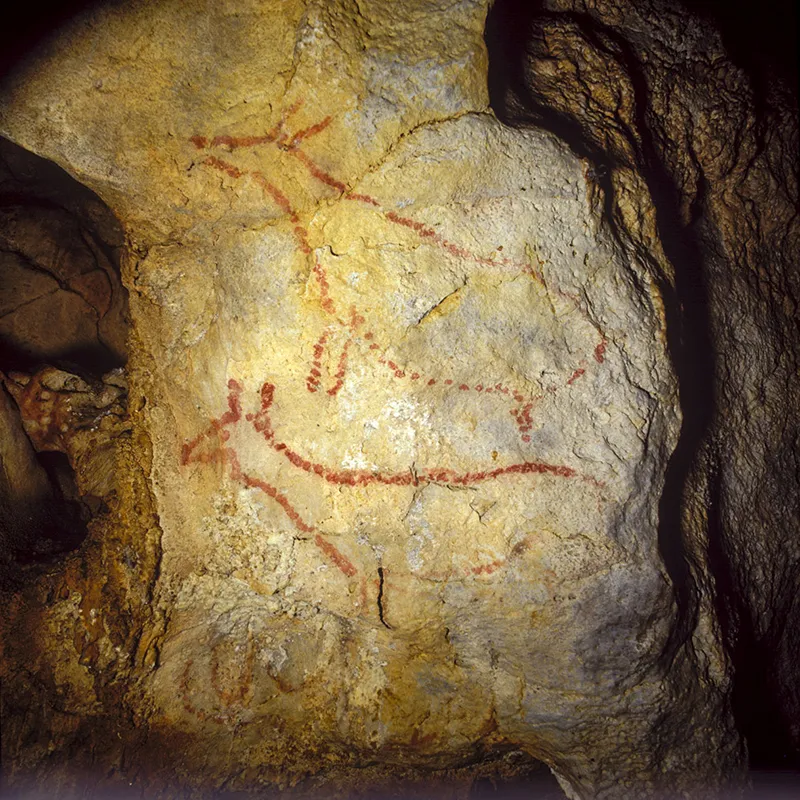  La cueva de Covalanas permanecerá abierta al público